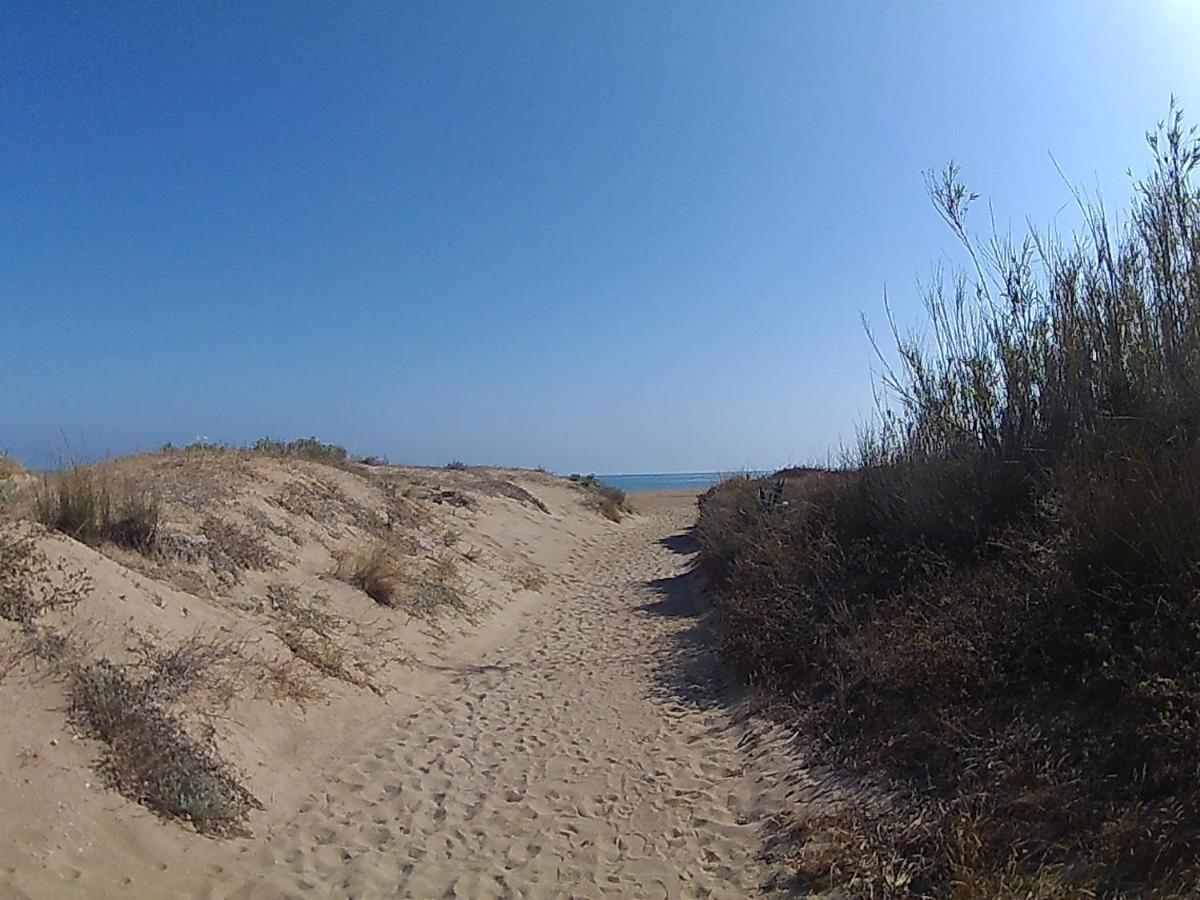 Bonito Apartamento En Primerla Linea De Playa دينايا المظهر الخارجي الصورة